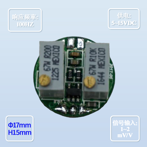 BRS-AM-306 内置数字变送器